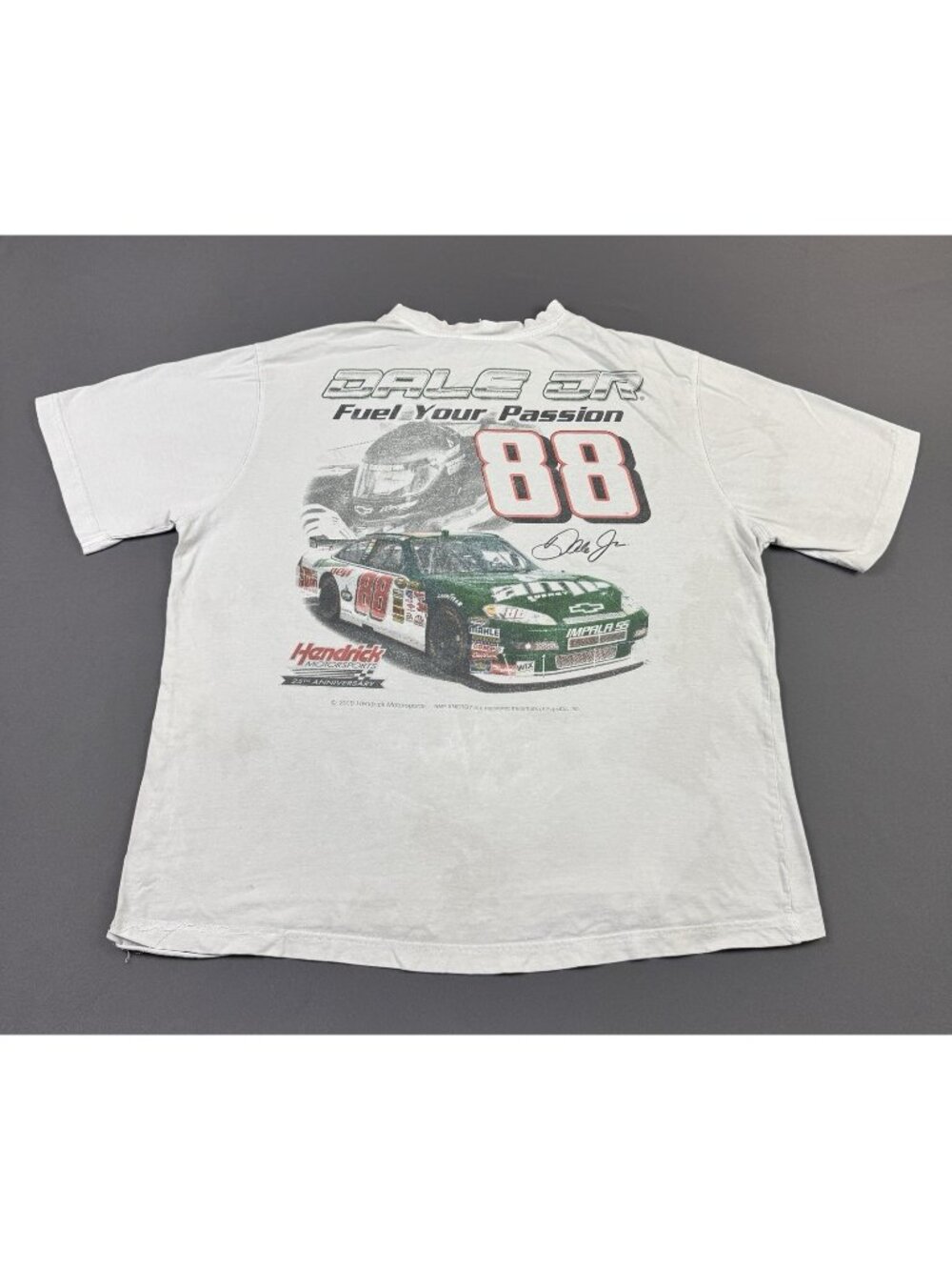 Rare Vintage Y2K Dale Earnhardt Jr Nascar Car Racing Chevy Impala Hendrick Large